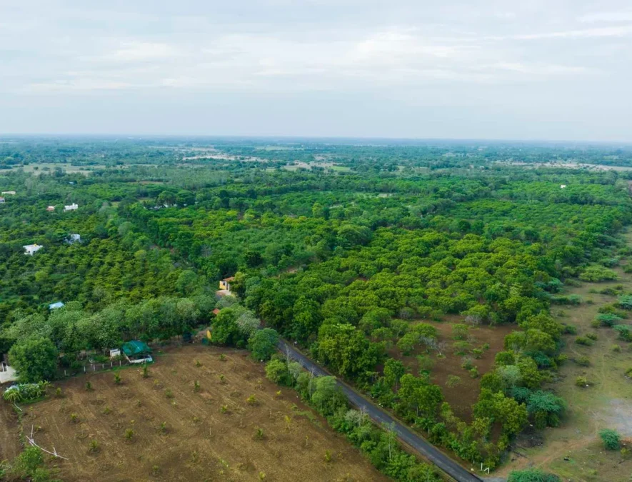 real estate company based in Chennai